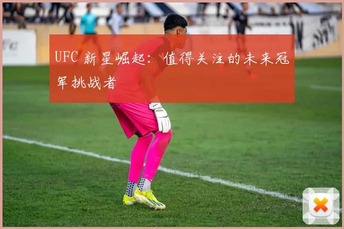 UFC 新星崛起：值得关注的未来冠军挑战者
